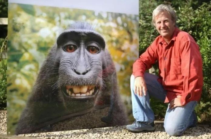 La selfie de un mono que arruinó la vida del dueño de la cámara