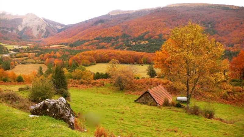 isaba navarra 990x557 1 Merca2.es