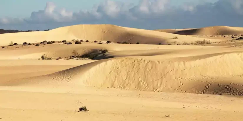 parque corralejo Merca2.es