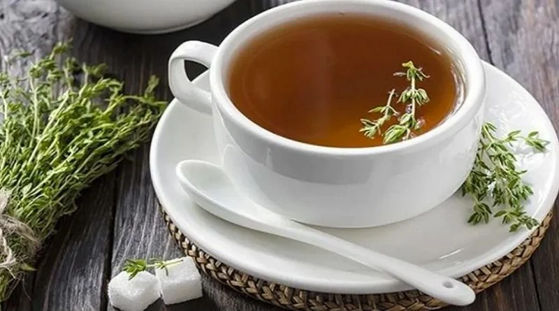 Usa el té de oregano y previene enfermedades