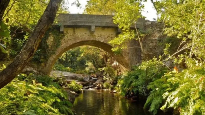 "Marbella gallega" un lugar para conocer y tener de vecino a un famoso