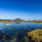 Las 5 Maravillas Naturales de Mallorca: Tesoros Escondidos en el Mediterráneo