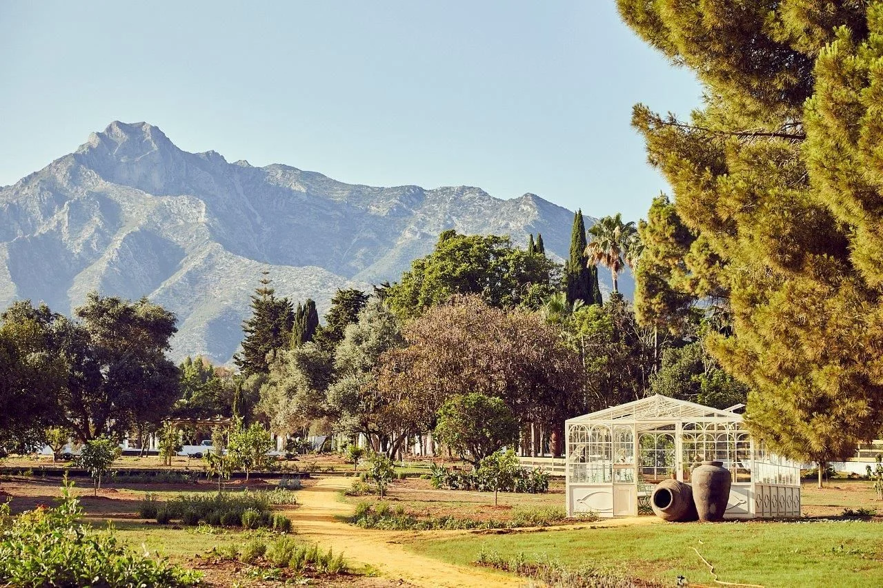 Marbella Club: 70 Años de elegancia entre la realeza y las glorias de Hollywood