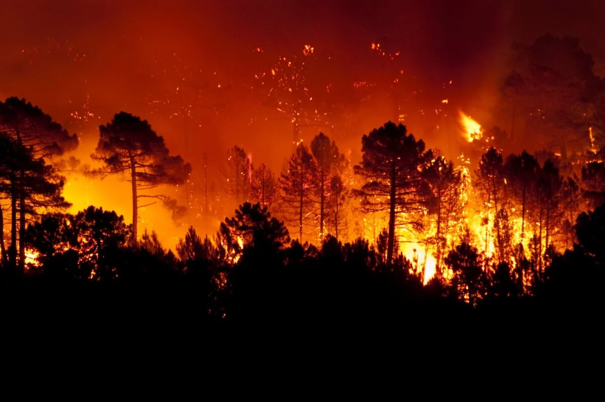 Google Maps se actualiza para ayudar y avisar sobre las alertas de incendios en toda España