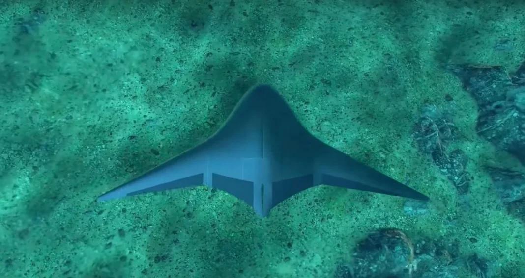 Manta Ray