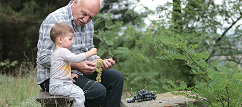 Riesgos en el consumo de uvas en niños y abuelos