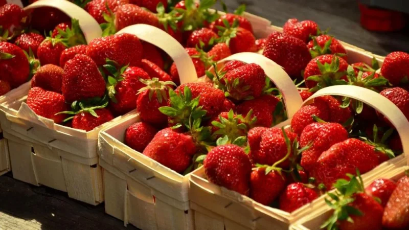 Los beneficios del magnecio y la vitamina c en una sola fruta: Las fresas