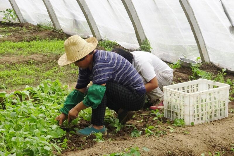 Julio registra una caída de 6.240 afiliados extranjeros en la Seguridad Social, rompiendo la tendencia alcista