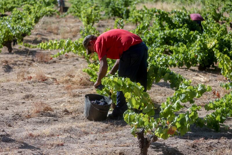 Uatae demanda un cambio radical en el apoyo al desarrollo del mundo rural