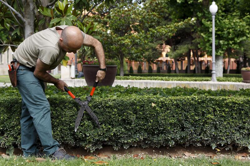 Las empresas de jardinería experimentaron un crecimiento del 8% en su facturación en 2023