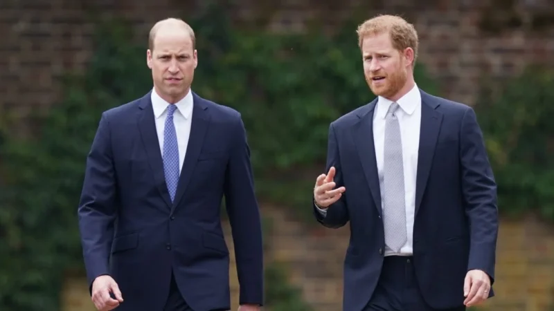 El encuentro reciente del príncipe Guillermo y Harry