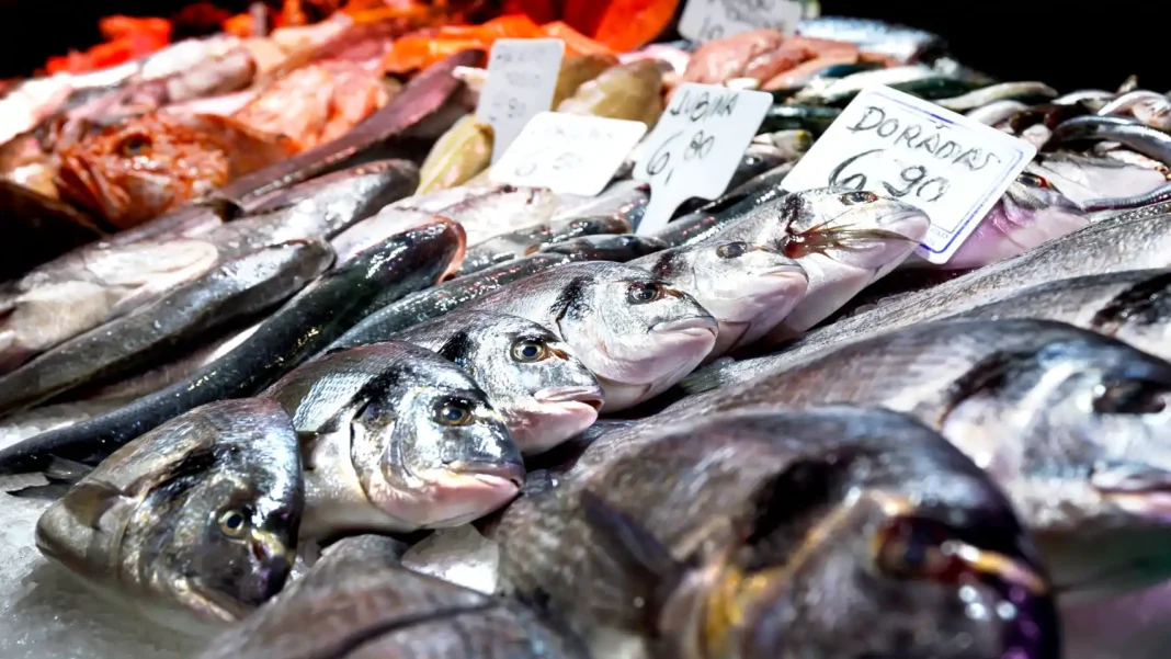 La OCU avisa: estos 4 pescados del súper no deberían estar en tu dieta