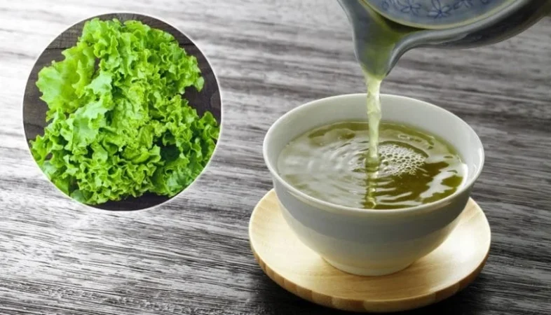 Beneficios de este poderoso vegetal: Té de lechuga