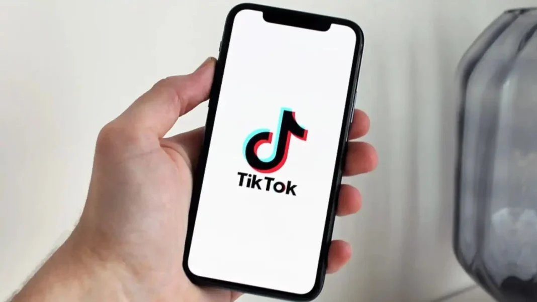 TikTok dinero