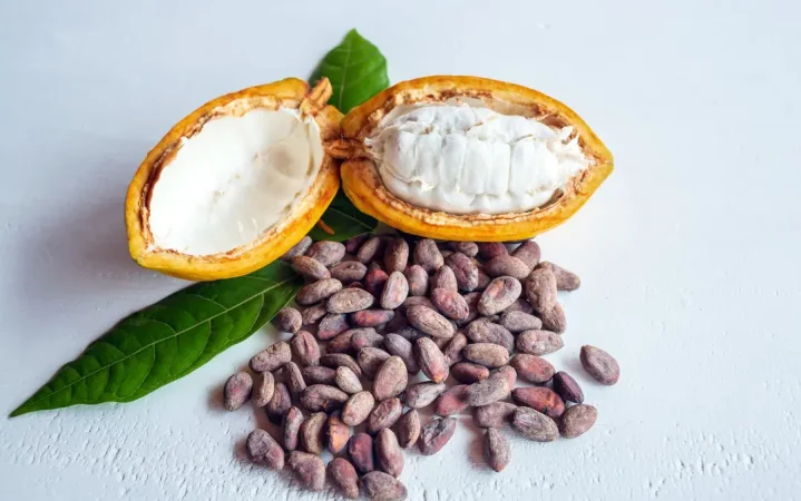 La importancia del cacao para una alimentación más saludable