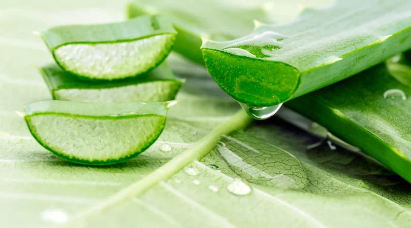 Propiedades del aloe vera para las ojeras