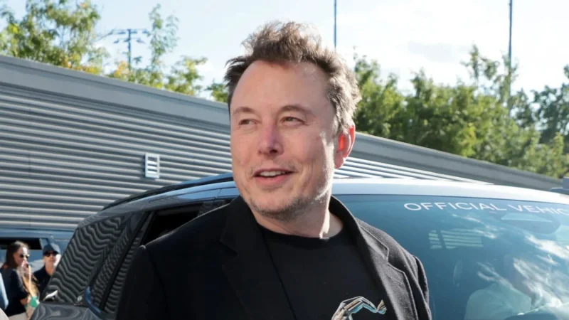 Regalo Musk