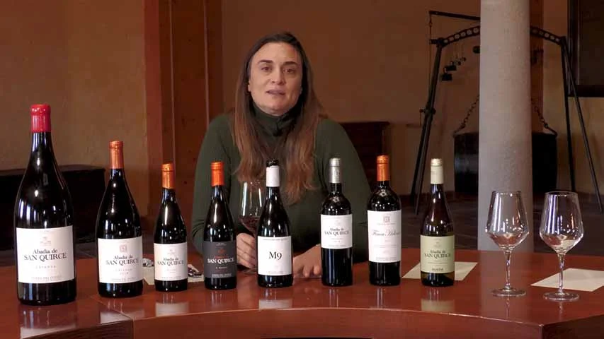 La OCU selecciona el mejor vino de España: cuesta 12 euros y se vende en cualquier supermercado