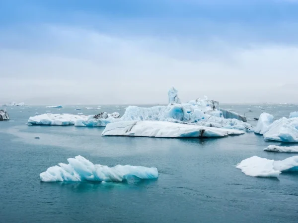 Cambio climatico pexels 1 Merca2.es