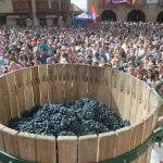 Disfruta de las fiestas de la vendimia en La Rioja