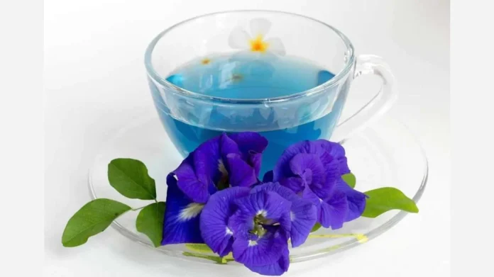 Conoce el té azul, la bebida natural que mejora tu estado de ánimo en 5 minutos