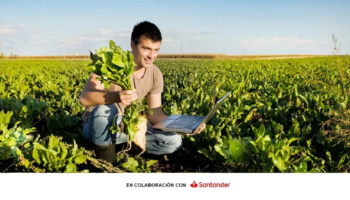 El crecimiento sostenible empieza en el sector agro: la gran apuesta de Banco Santander