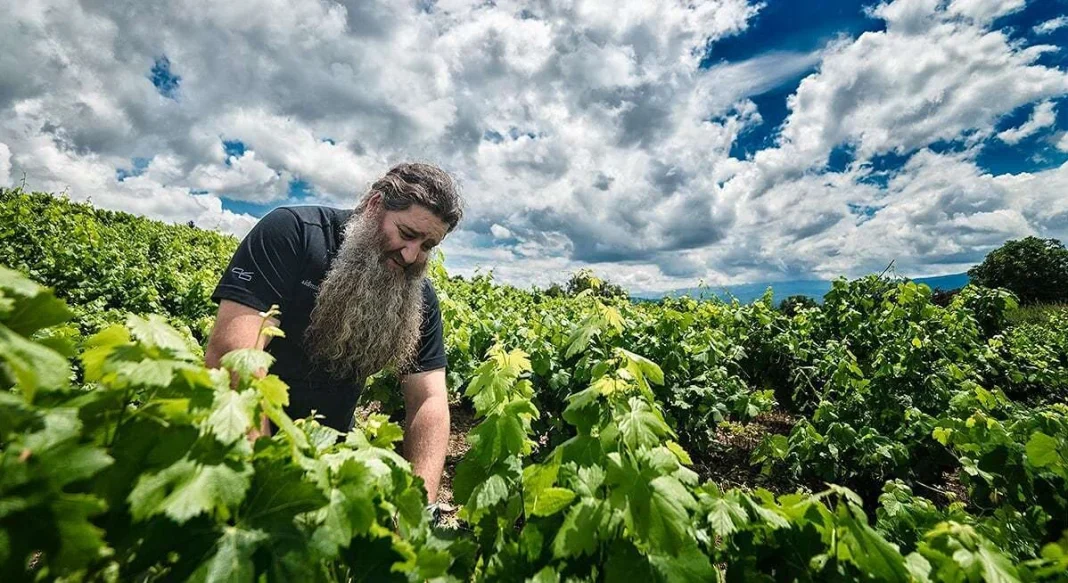 Bierzo historia