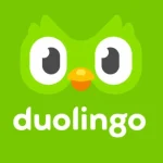 Las 3 mejores alternativas gratuitas a Duolingo disponibles en la Google Play Store