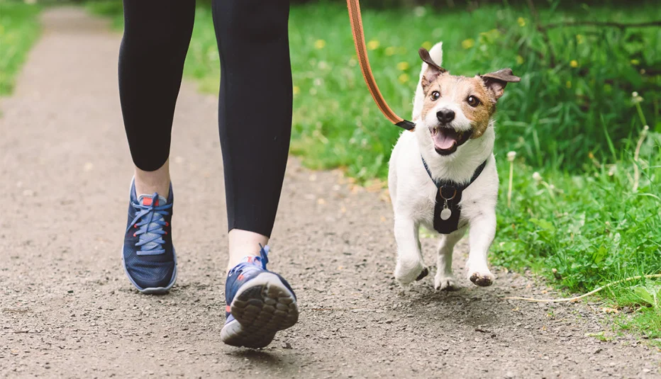 Lidl hace que pasear a tu perro sea más seguro que nunca con este nuevo invento