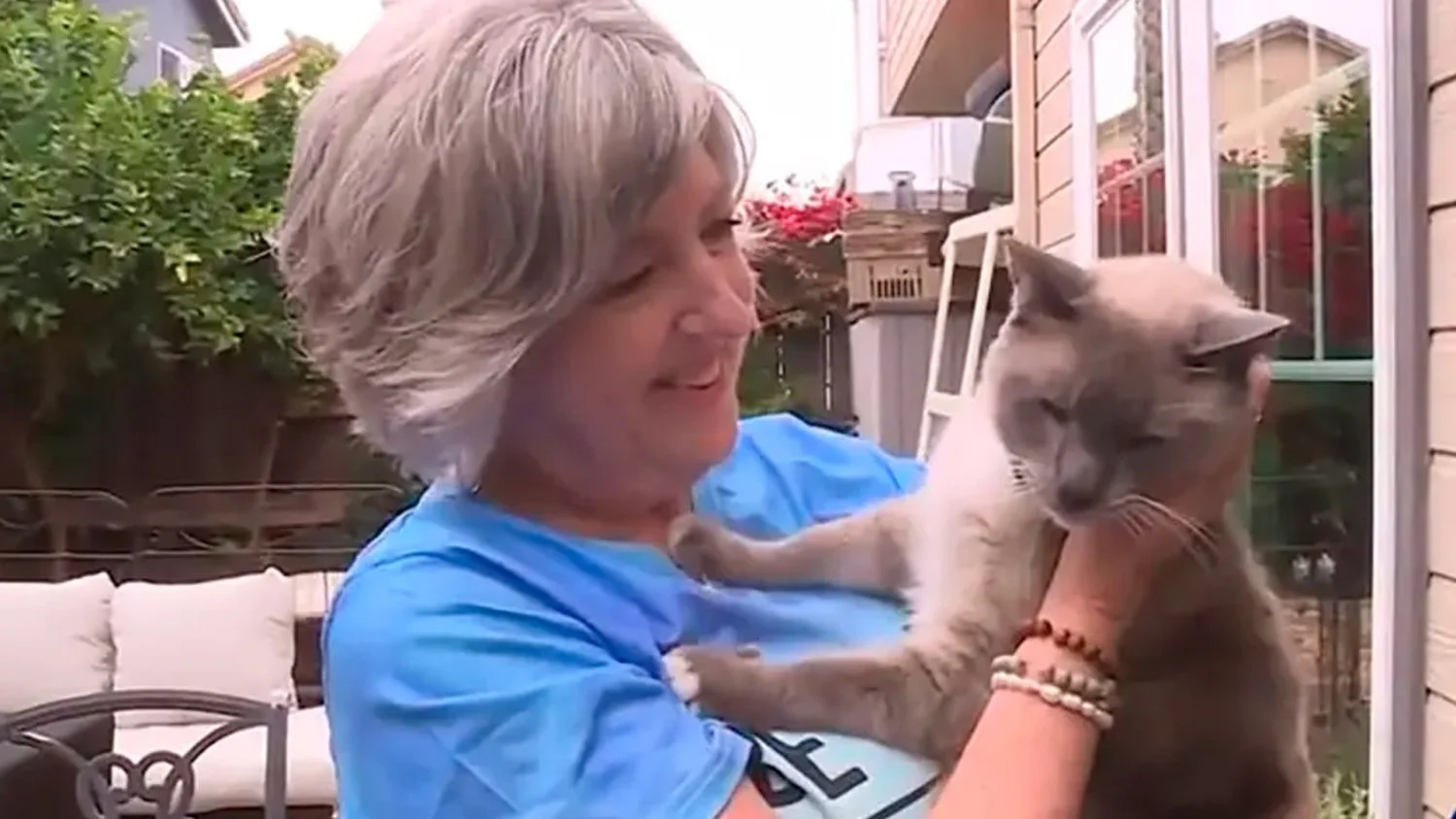 De Yellowstone a casa: el increíble viaje de un gato perdido que recorrió más de 1.400 kilómetros