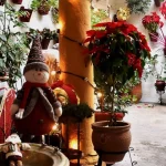 No te pierdas esta Navidad la Fiesta de los Patios de Córdoba, cultura y tradición