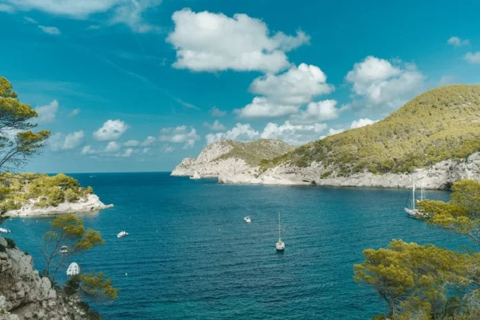 Rumbo Norte, empresa de alquiler de barcos en Ibiza