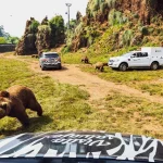 Visita en Cantabria el Parque de Cabárceno, para muchos el mejor zoológico de España