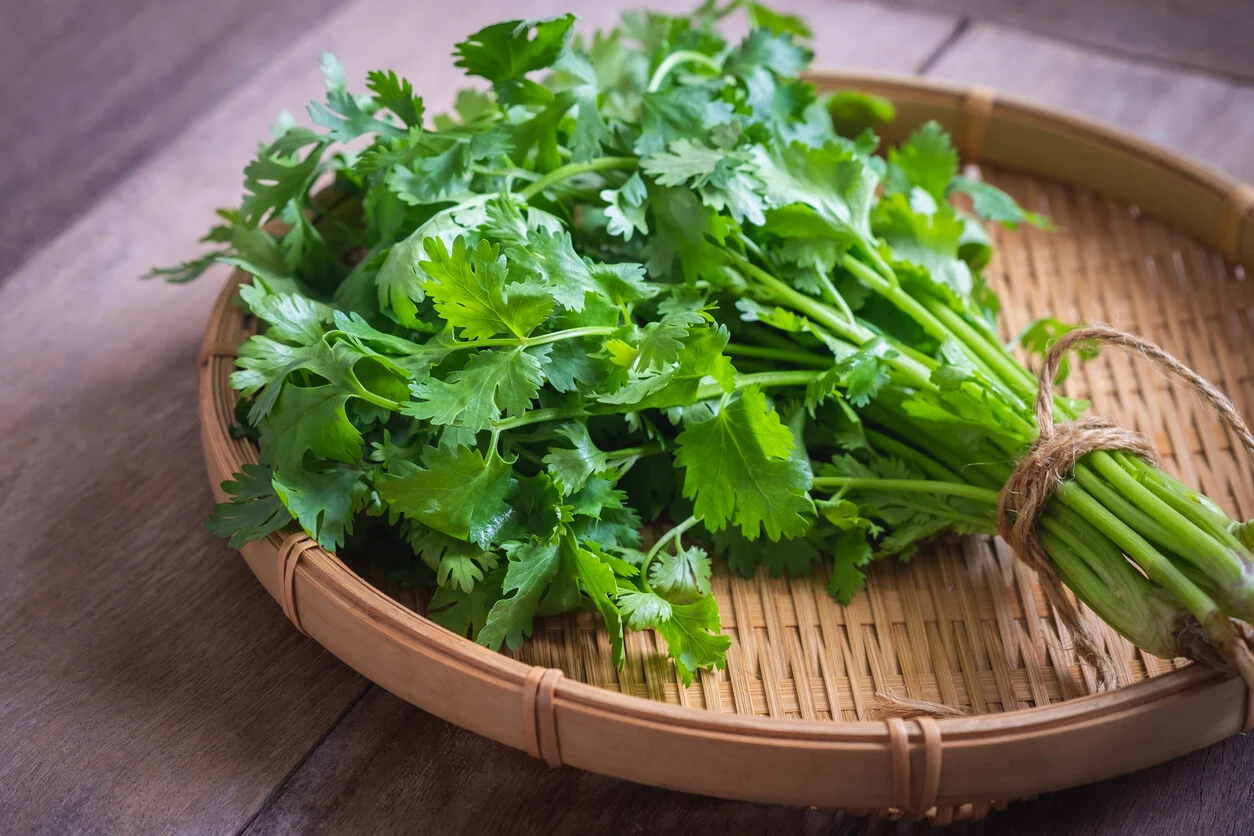 COMENTARIOS DIVIDIDOS POR EL CILANTRO EN MERCADONA