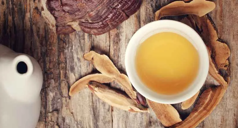 Cómo consumir el hongo reishi para mejorar la salud 