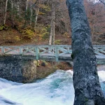 Descubre el Nacedero del Urederra en Navarra