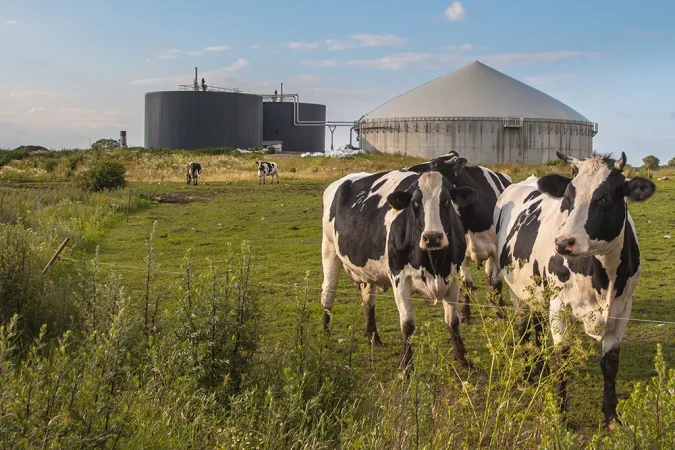 biogas vacas Merca2.es