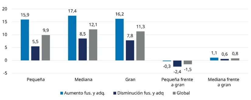 pequena capitalizacion2 Merca2.es