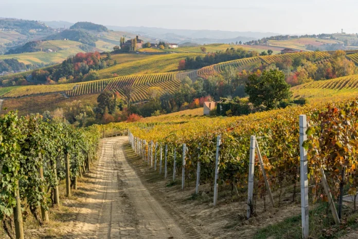 Historia, vino y magia: el pueblo italiano que lo tiene todo